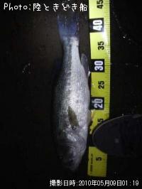 �֥�å��Х�