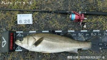 �����Х�