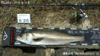 �����Х�