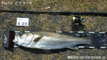 �����Х�