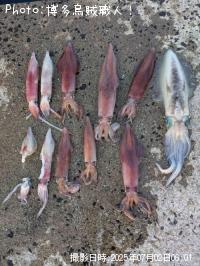 ���󥵥�����