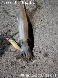 ���󥵥�����