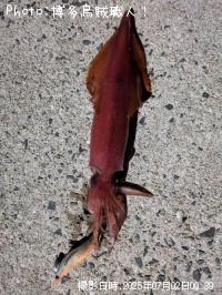 ���󥵥�����