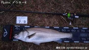 �����Х�