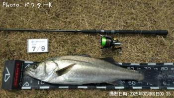 �����Х�