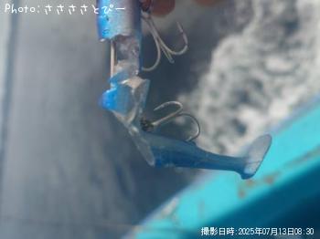 太刀魚&サバ&オオモンハタ