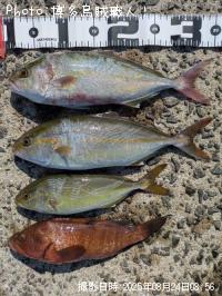 �ͥꥴ�ʥ���ѥ���