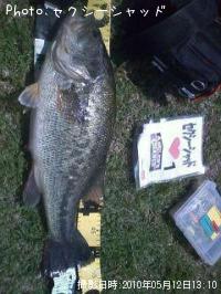 ¥Ö¥é¥Ã¥¯¥Ð¥¹