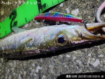 ���ޥ���