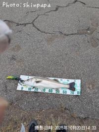 �����Х�