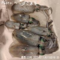 �����ꥤ��