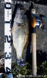 �֥�å��Х�