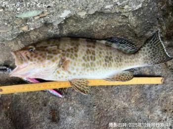 �������ϥ�