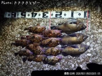 ��Х��������