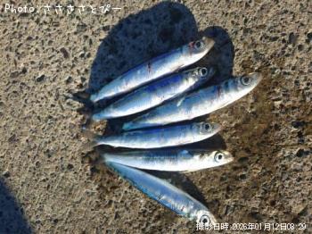 ����ᥤ�亮