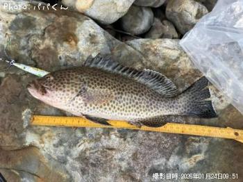 �������ϥ�