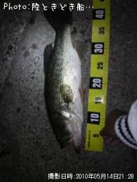 ¥Ö¥é¥Ã¥¯¥Ð¥¹