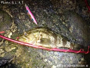 �����Υ���Х�