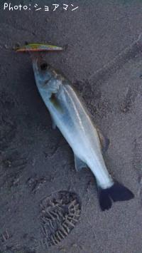 �����Х�