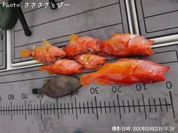 �����ϥ�������ᥫ���������ޥ���ϥ�