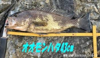 �������ϥ�