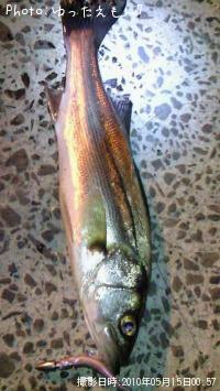 �����Х�