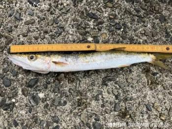 ������󥫥ޥ�