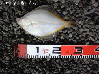 ¥¹¥Ê¥¬¥ì¥¤