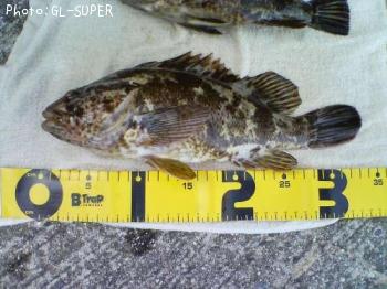 �����Υ���Х�