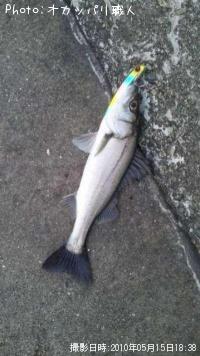 �����Х�