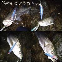 �����Х�