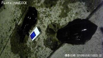 �����ꥤ��