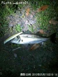 �����Х�