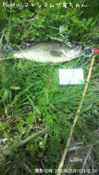 �֥�å��Х�