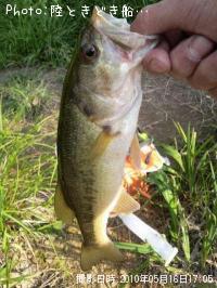 ¥Ö¥é¥Ã¥¯¥Ð¥¹