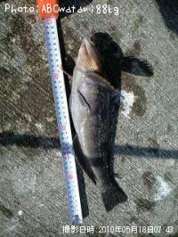 �����ʥ�