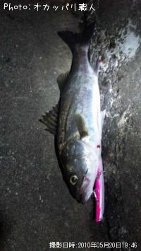 �����Х�