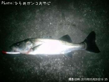 �����Х�