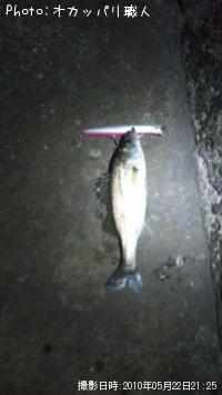 �����Х�