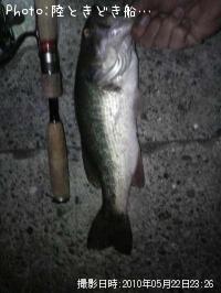 �֥�å��Х�