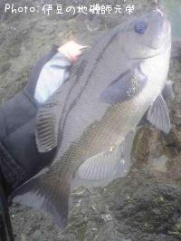 �����᥸��