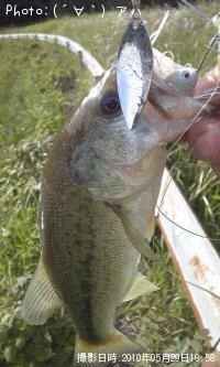 �֥�å��Х�