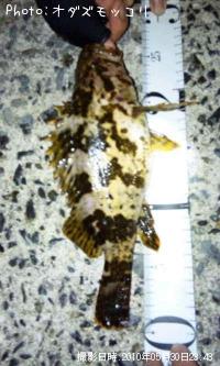 �����Υ���Х�