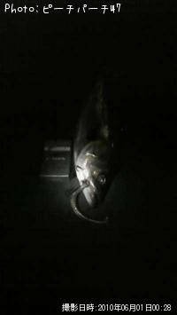 �����Х�