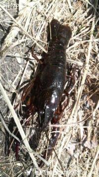 ¢þ¢þ¥¨¥Ó¡©