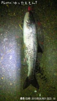 �ޥ륿������