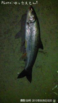 �ޥ륿������