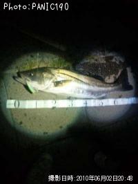 �����Х�