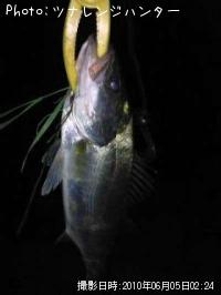 �����Х�