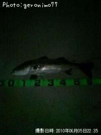 �����Х�